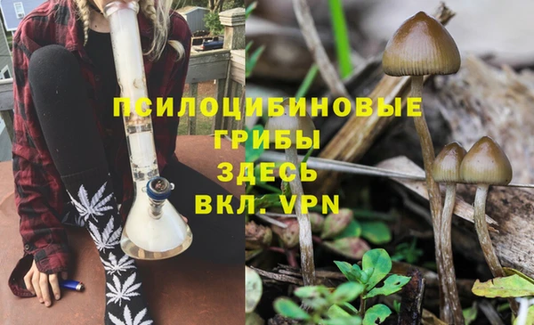 спайс Алексин